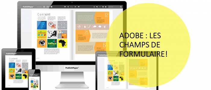 Une image représentant les diverses façon d'afficher un formulaire Adobe.
